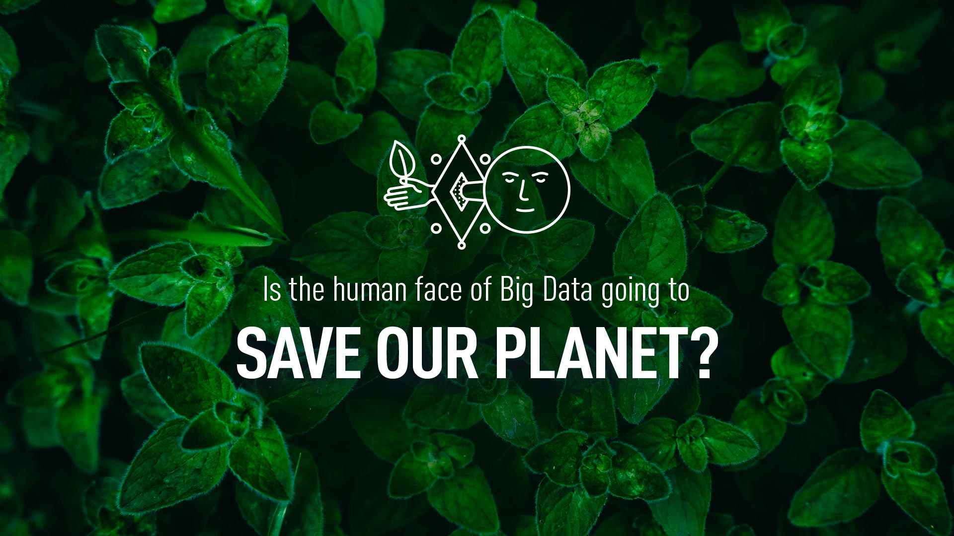 Is the human face of Big Data going to save our planet?